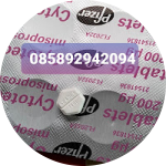 Kenzie Putra's picture